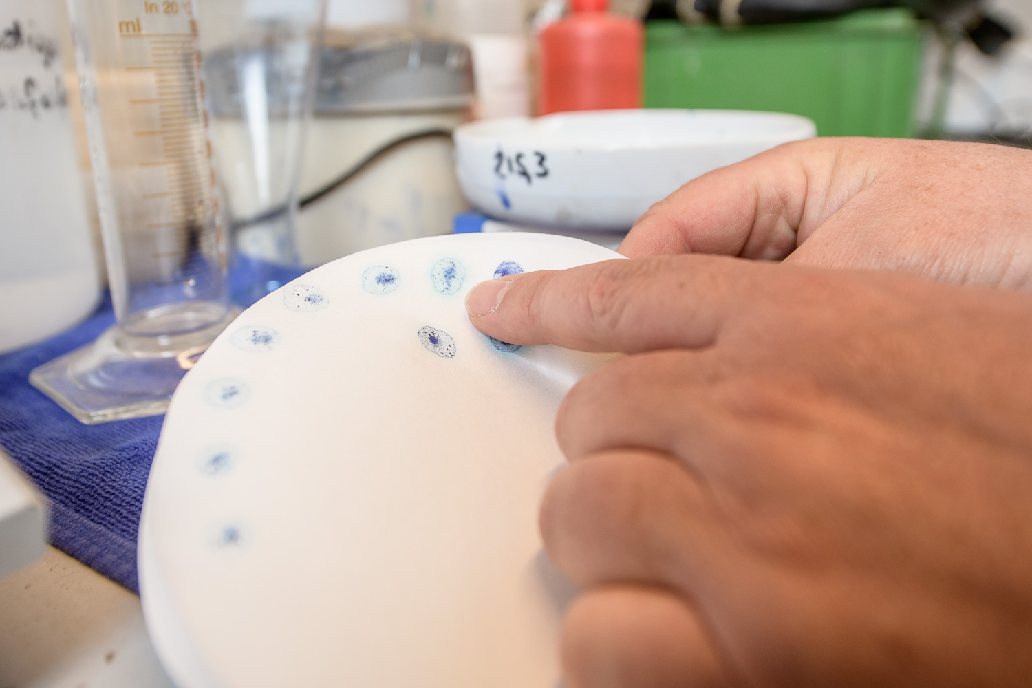 Trisoplast Lelystad-515.jpg