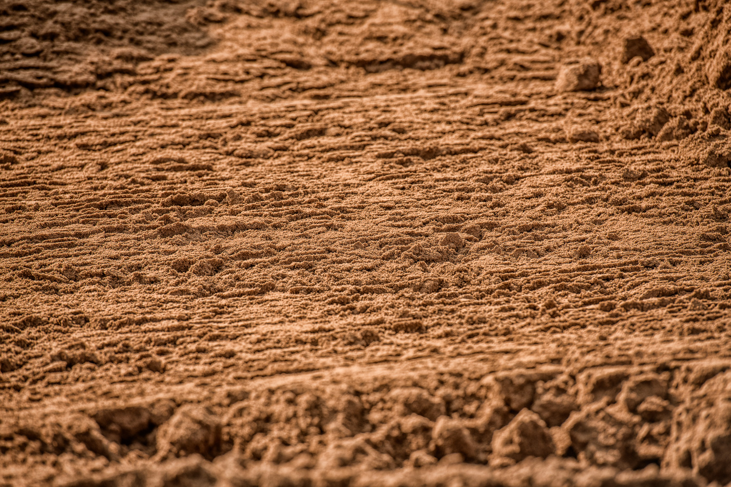 Trisoplast Lelystad-438.jpg